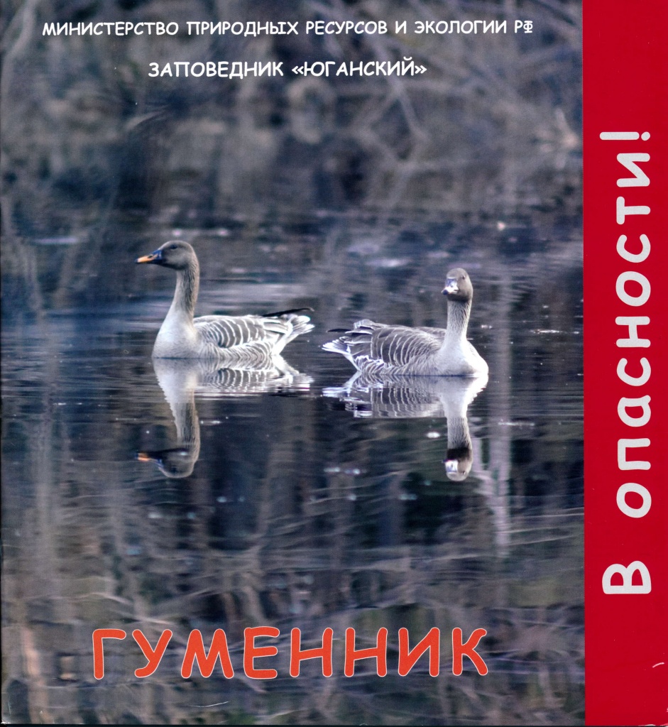 Гуменник.jpg