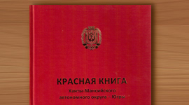Красная книга Ханты-Мансийского автономного округа - Югры. 2013 год. Красная книга Ханты-Мансийского автономного округа - Югры. 2013 год.