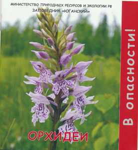 в опасности орхидеи.png