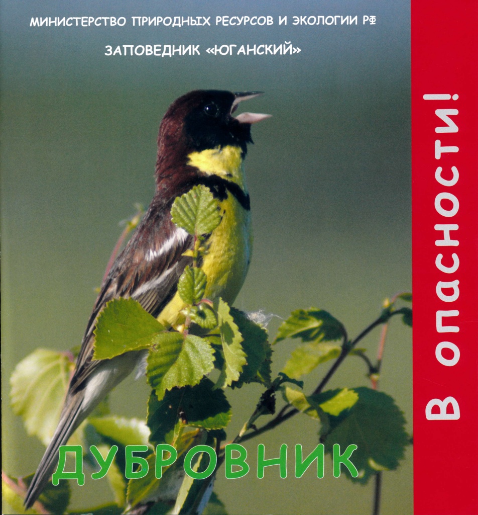 Дубровник.jpg