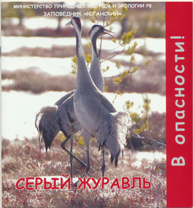 в опасности.png